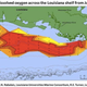 Illustration for article titled This is why the ocean is full of dead zones
